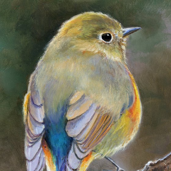 Cheerful bird back portrait