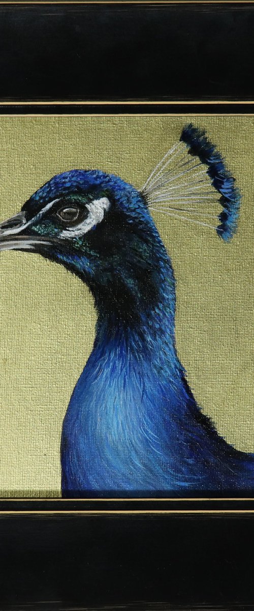 Peacock Portrait V by Alex Jabore