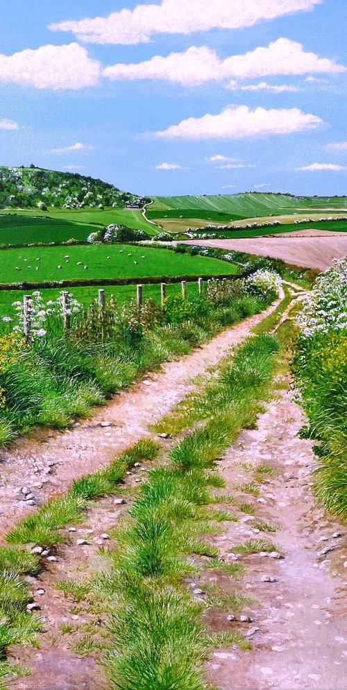 May Days and Chalk Ways by Paula Oakley