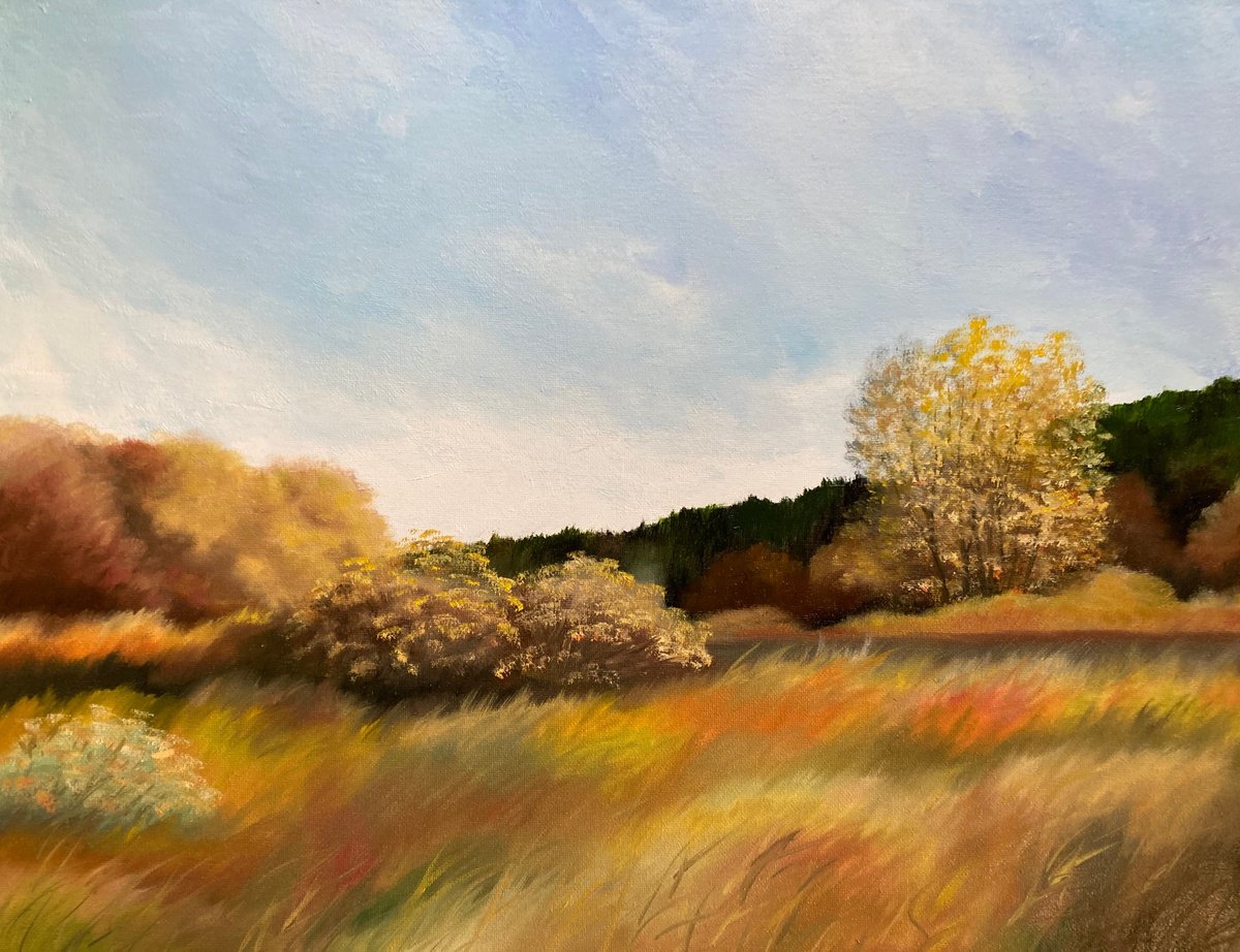 Impressionistic Landscape Oil Painting By Silvie Wright, 20 X 16", Autumn Feel, Original Artwork