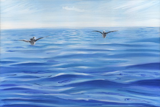 Ocean Gulls