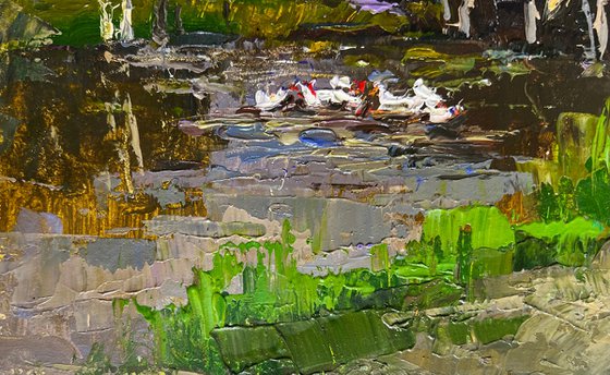 Ducks on the lake