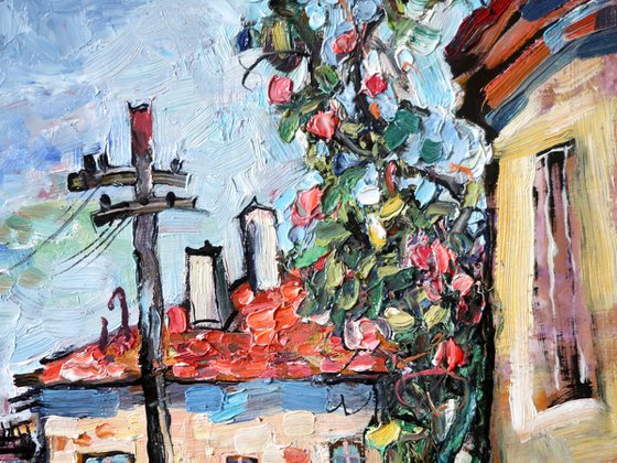 Street and rose bush.