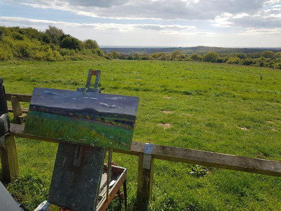 Field at Honeysuckle Lane.