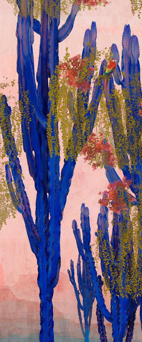 Cactus Ravine by Nadia Attura