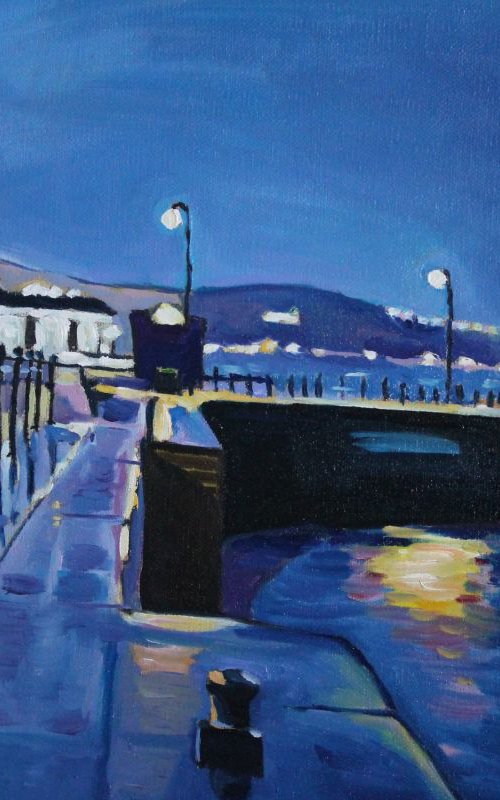 Night Light Falls on Mumbles by Emma Cownie