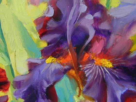 "Iris"