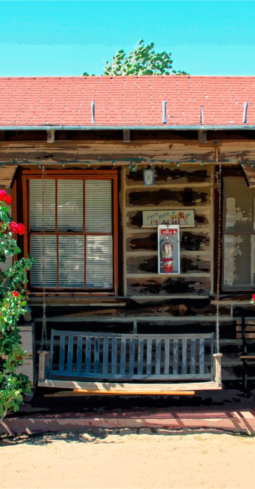 THE PIONEER MOTEL Pioneertown CA by William Dey