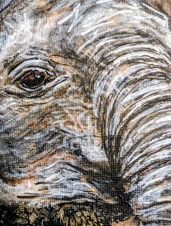 Baby Elephant, Elephant 4