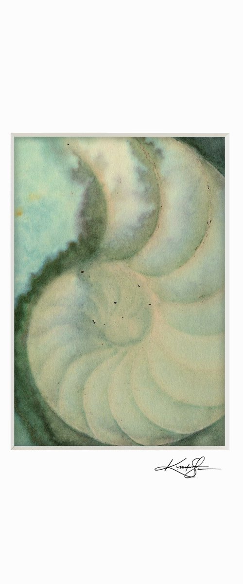 Nautilus Shell 951 by Kathy Morton Stanion