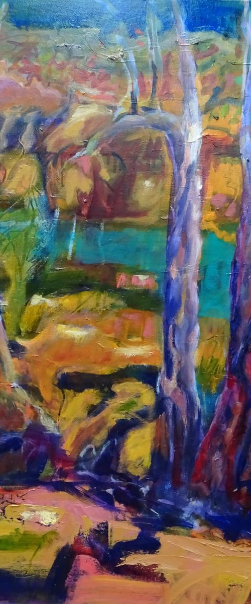 COLOURS OF THE AUSTRALIAN BUSH by Maureen Finck