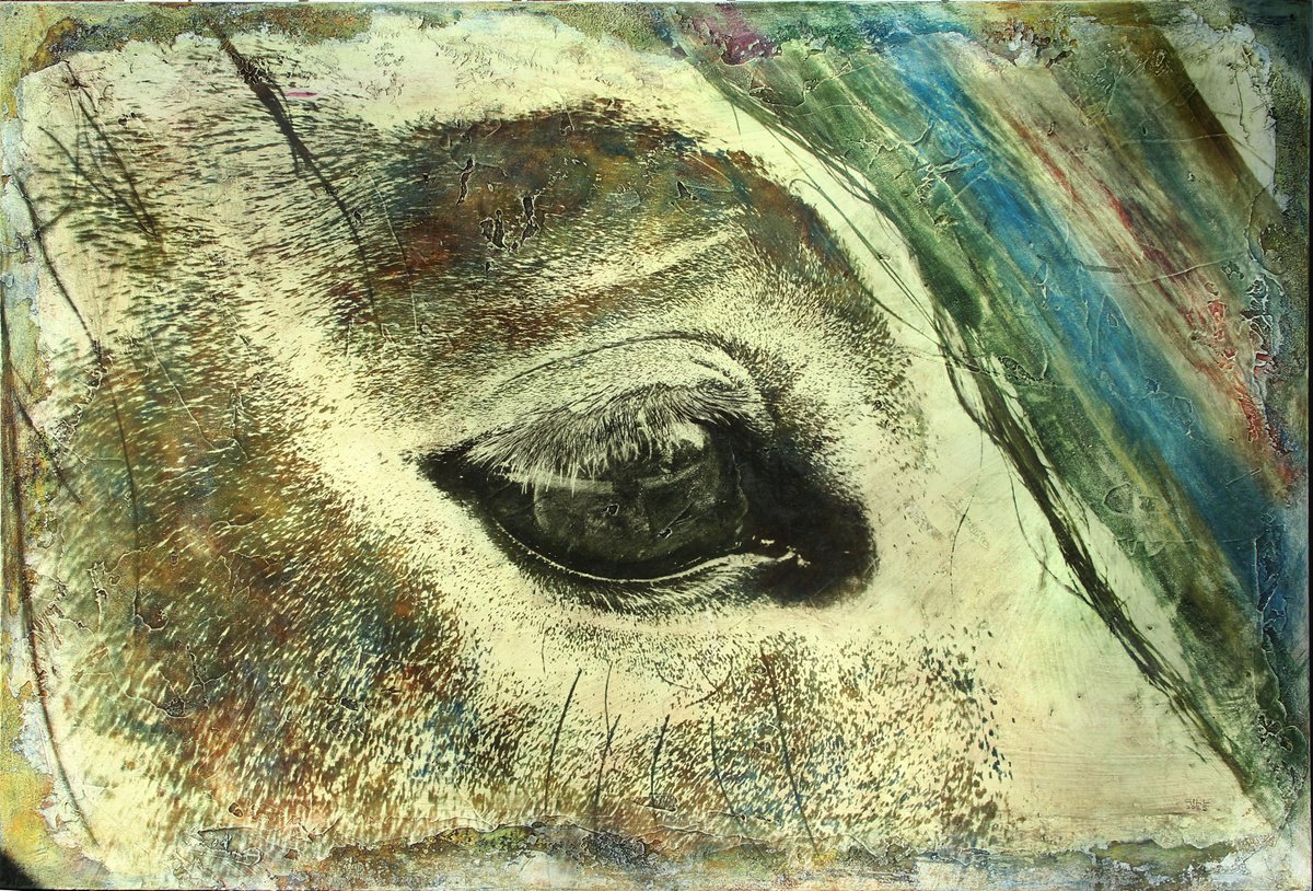 Urban And Pop Animal Painting By Gill Gilberto Borghesi, 49 X 33, Chromatic Gaze, Original Artwork