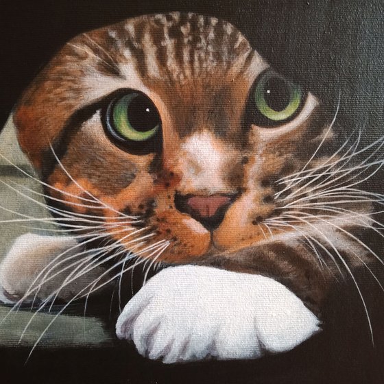Cat Portrait ~~ an original acrylic painting
