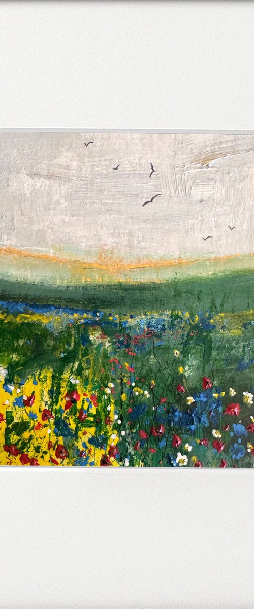 Cornflowers & Fields by Teresa Tanner