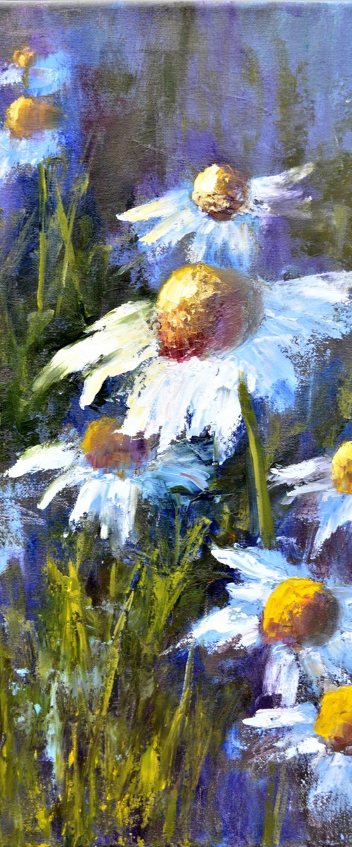 Lovely garden daisies by Elena Lukina