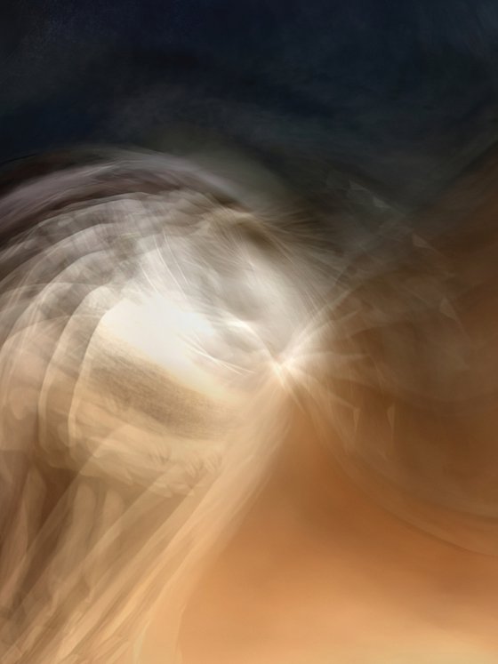 Miradas en movimiento XXIII