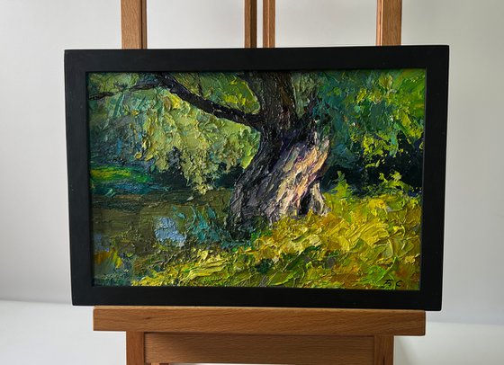 Tree near the River