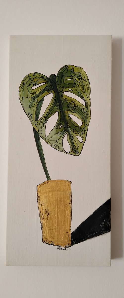 monstera by Isabellangela Germinario