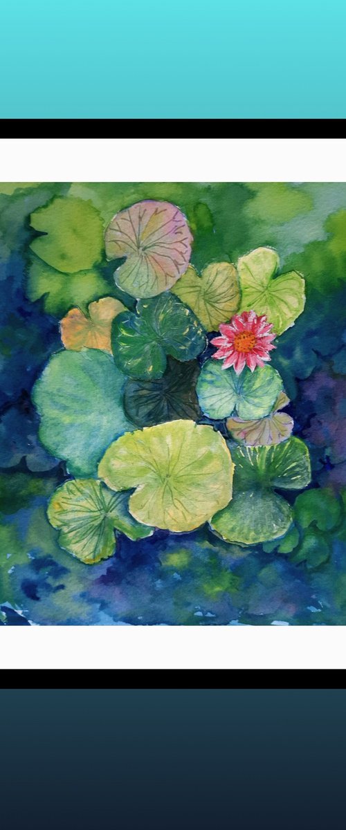 Lotus Pond with Water Lilies by Asha Shenoy