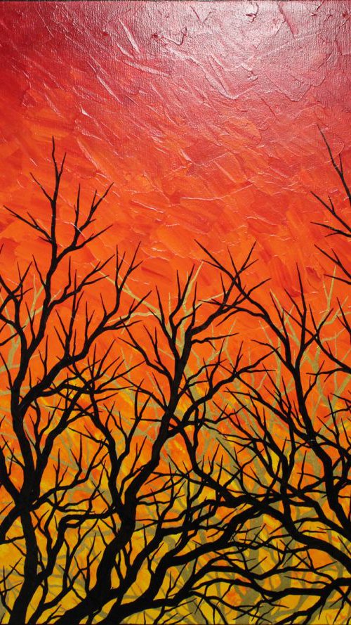 Brasillant forest by Jonathan Pradillon