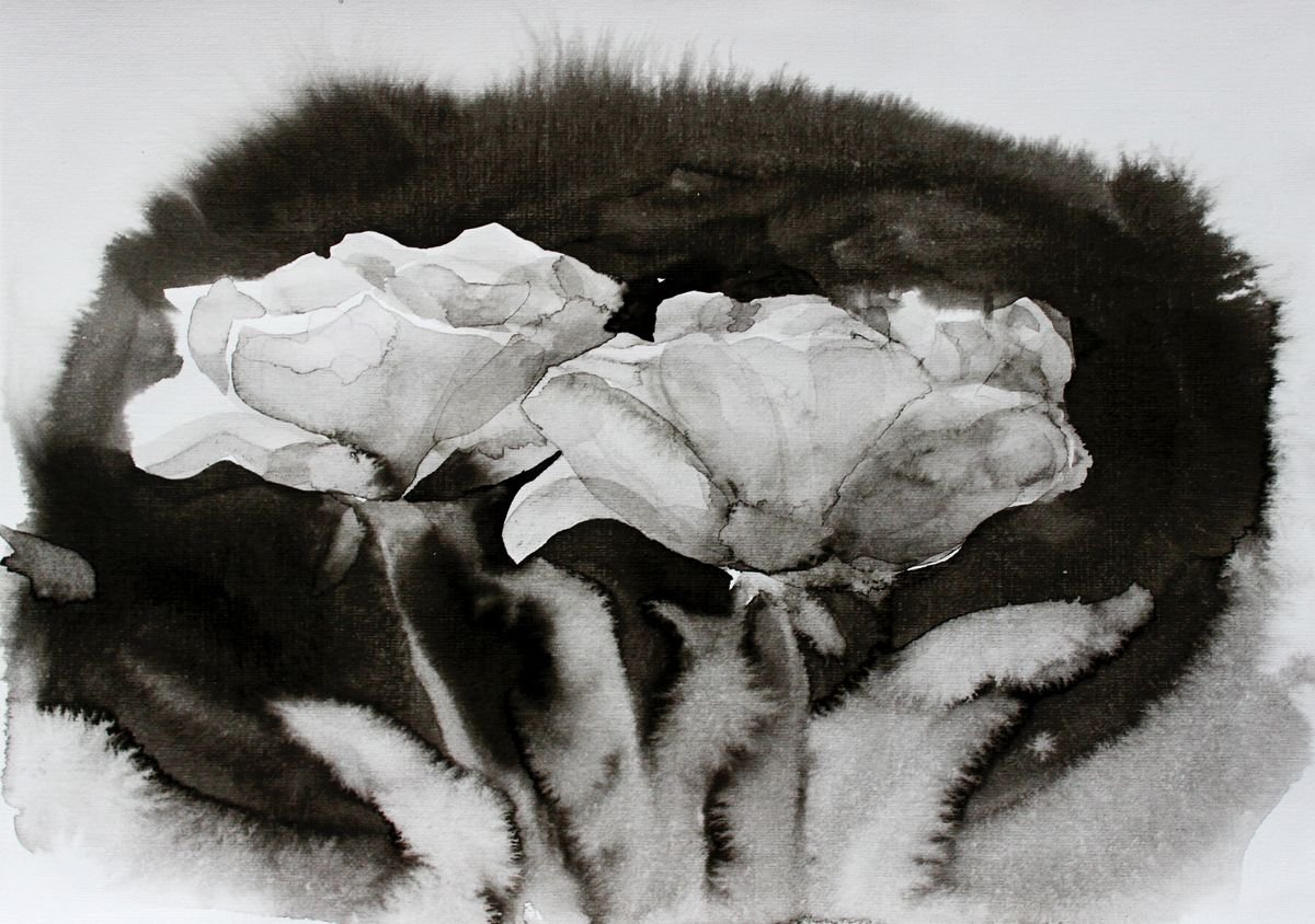 White roses by Julia Gogol