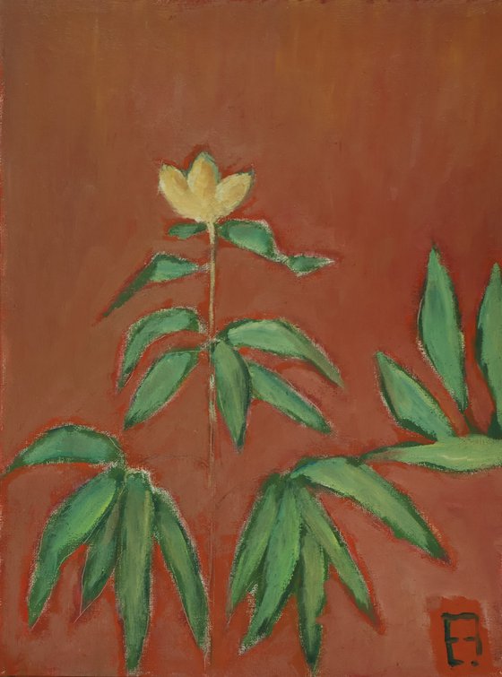 Peony