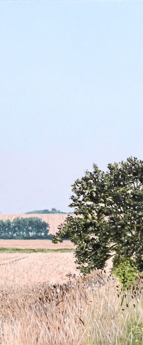 August Morning by Christopher Witchall