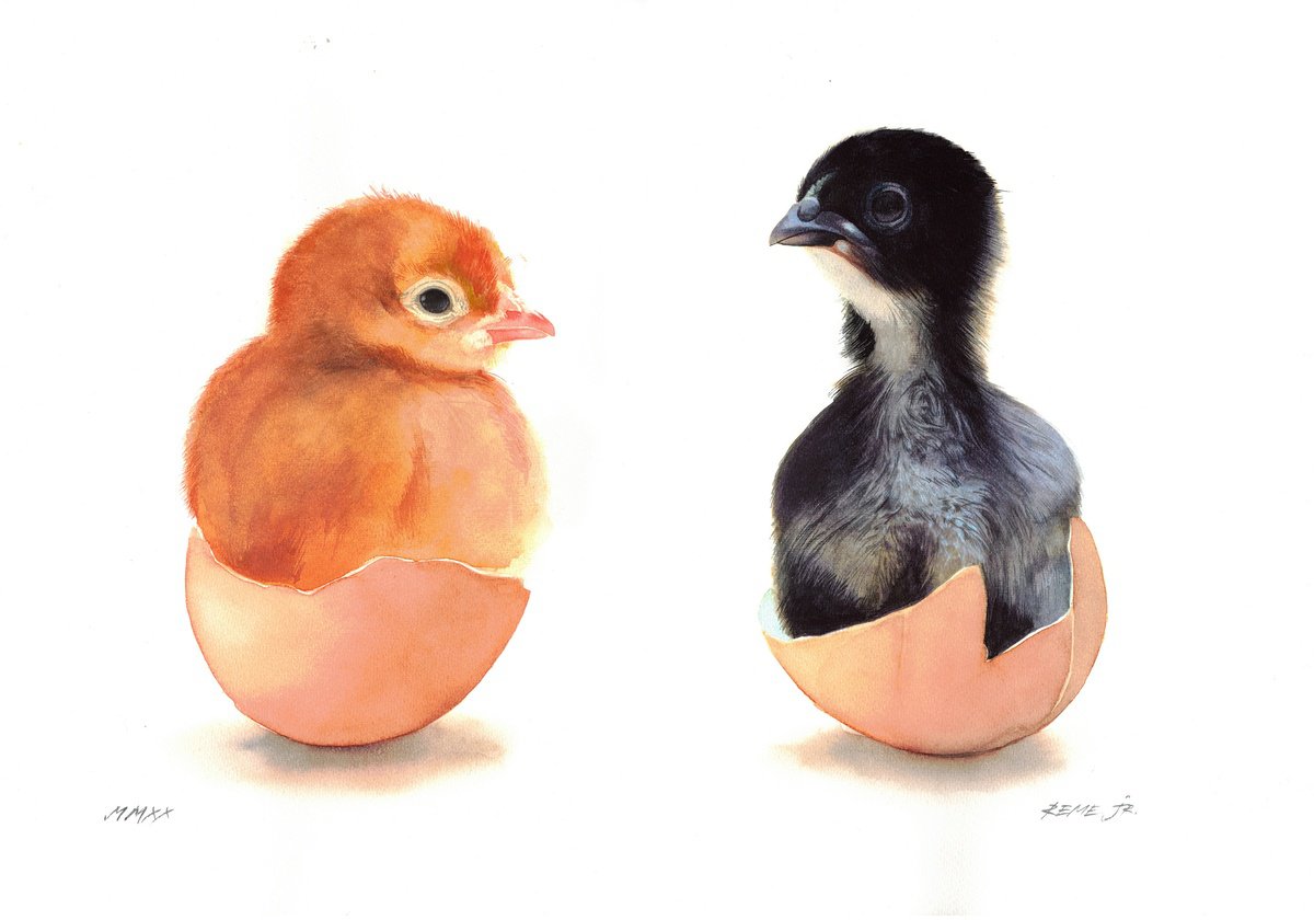 Photorealistic Animal Watercolour By Reme Jr., 20 X 14", Chicken