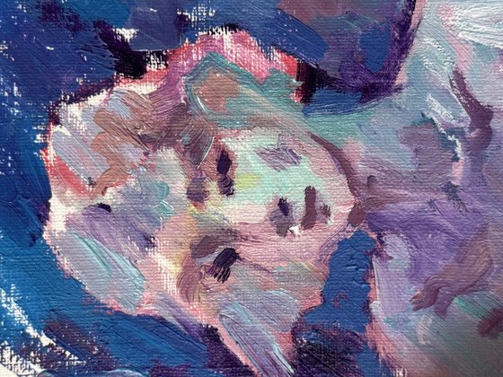 Women portrait