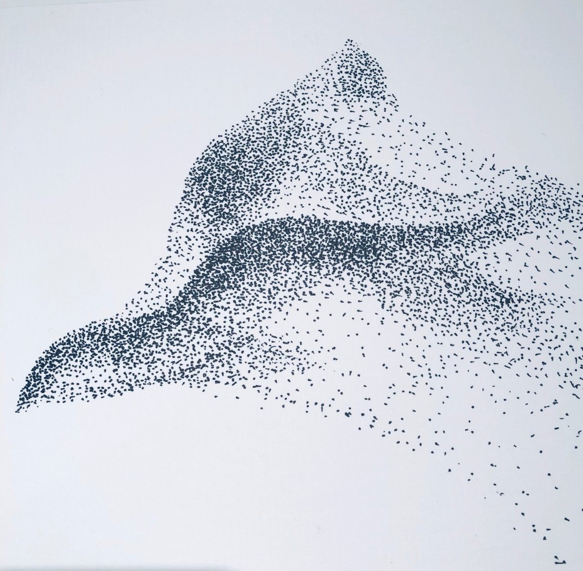 Impressionistic Animal Ink Drawing By Shabs Beigh, 22 X 14", Dance In The Sky, Original Artwork