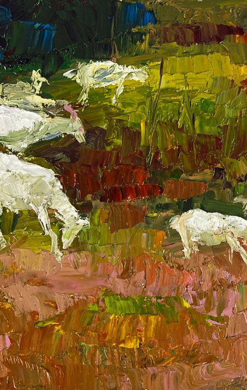 White Goats in the Meadows by Boris Serdyuk