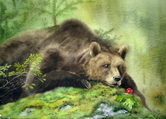 Connoisseurs of Beauty - a bear and a scarlet flower