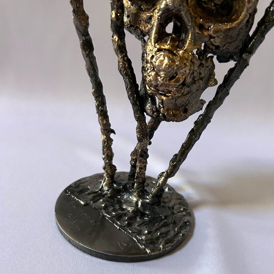 Skull 53-25