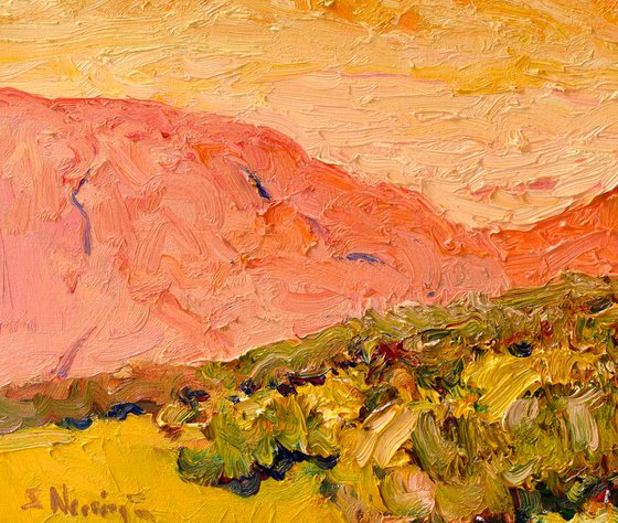Warmth of the Desert