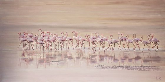 A MORNING BEACH PATROL / FLAMINGOS