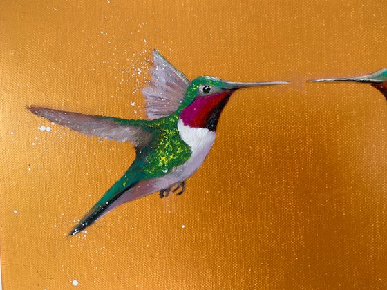 We Are Golden III ~ Hummingbird