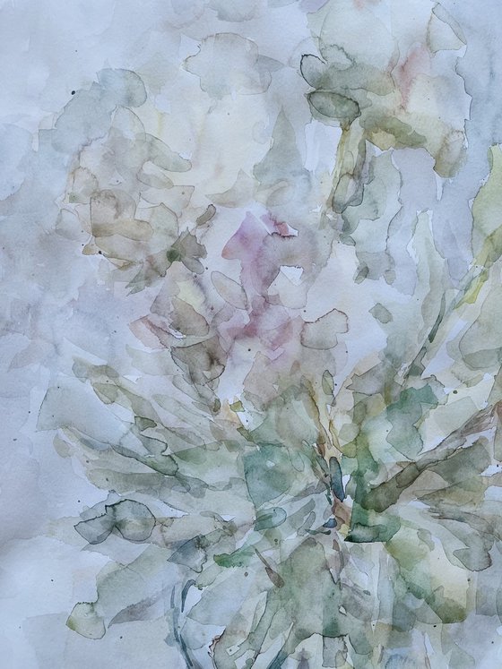 Peonies 50x65 cm 2025