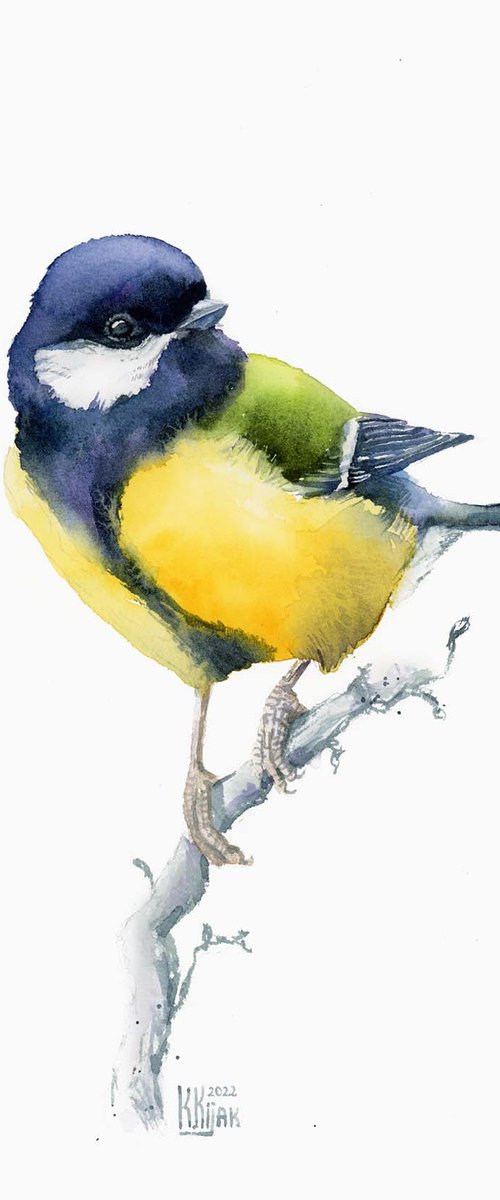 Great tit, spring song bird by Karolina Kijak