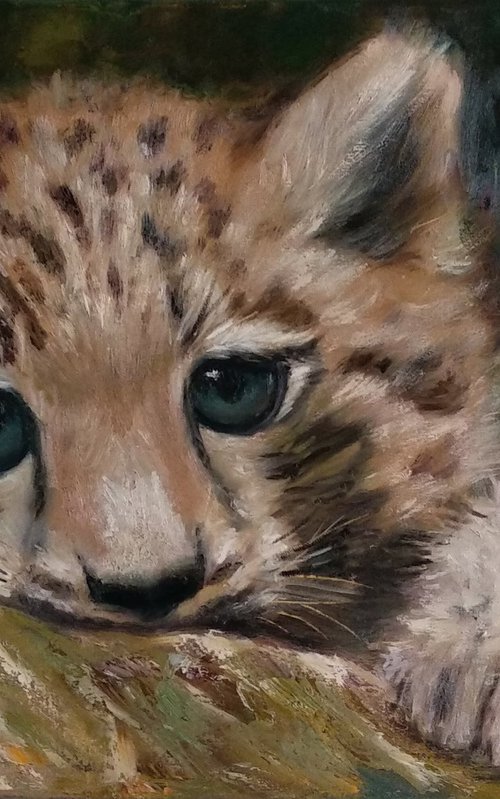 Cute Baby Leopard Wild Cat by Anastasia Art Line