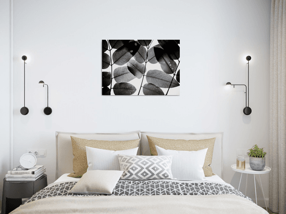 Experiments with Leaves II | Limited Edition Fine Art Print 1 of 10 | 60 x 40 cm