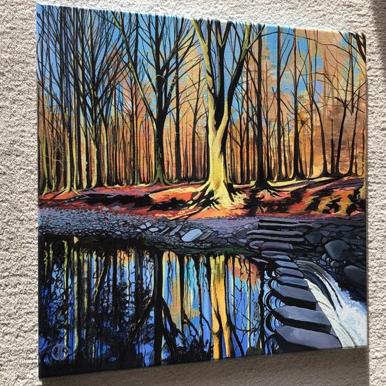 Stepping Stones On The Shimna