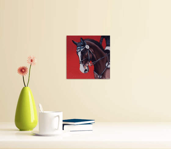 Horse Portrait 18