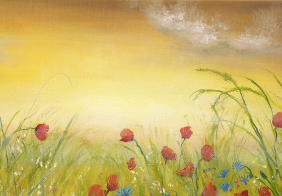 Sunset at the poppy field