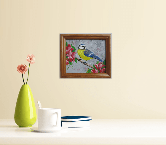 Bluetit garden bird