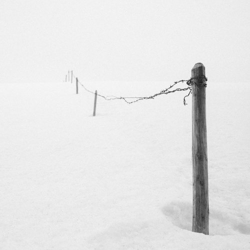 Fence by V Sebastian