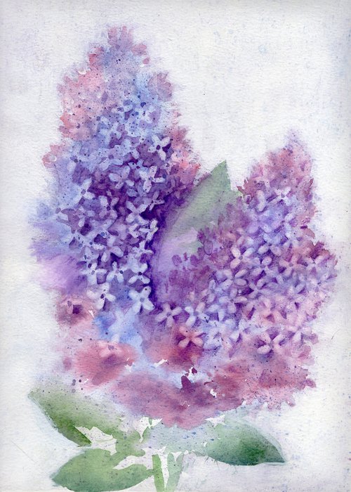 Lilac by Mia