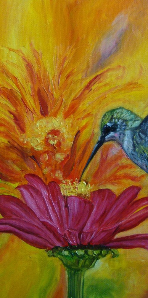 Hummingbird by Olga Knezevic