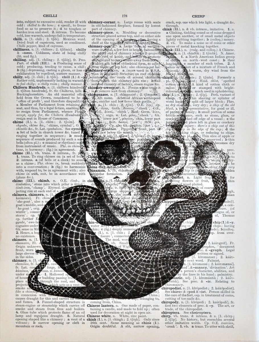 Skull and Snake - Collage Art on Large Real English Dictionary Vintage Book Page by Jakub DK - JAKUB D KRZEWNIAK