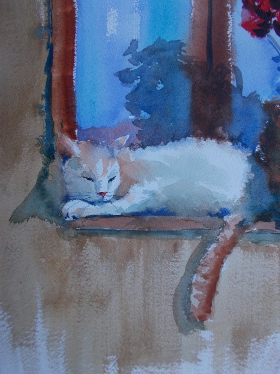 cat on windowsill 2
