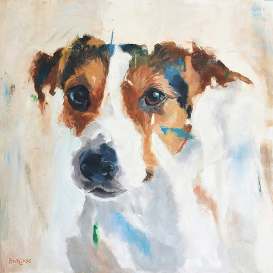 Jack Russell Terrier 2 Framed Oil On Canvas board 63cm x 63cm Oil